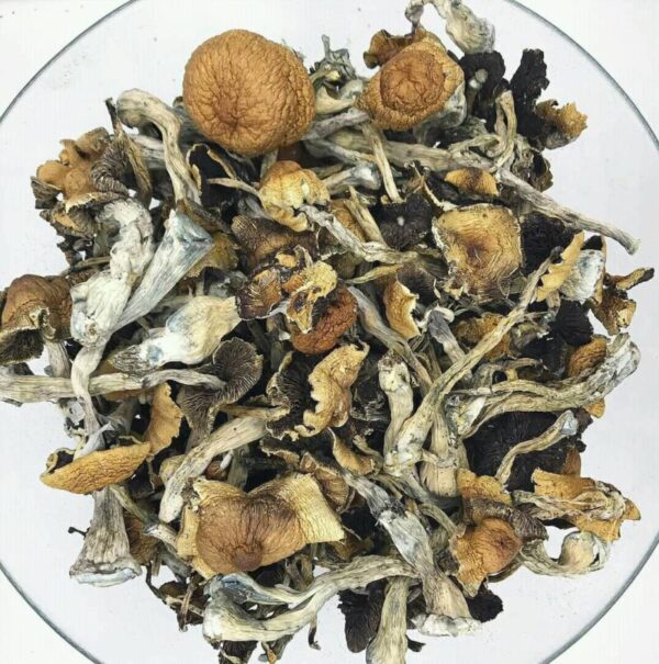 Buy Blue Meanies Mushrooms