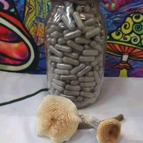 Microdose Mushroom Capsules