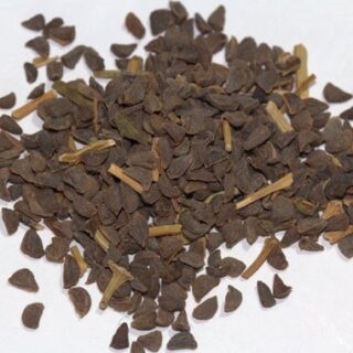 what are ayahuasca ?