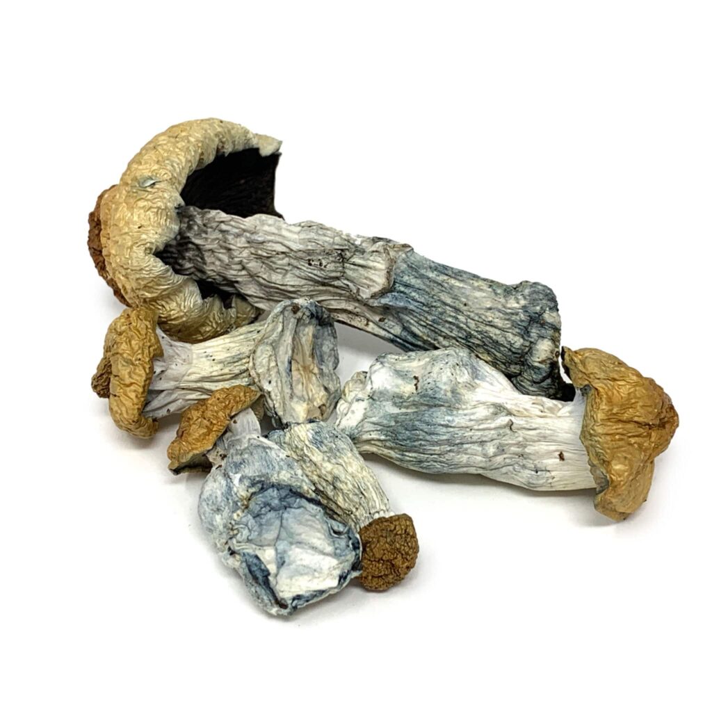cheap shrooms for sale